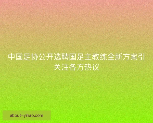 中国足协公开选聘国足主教练全新方案引关注各方热议